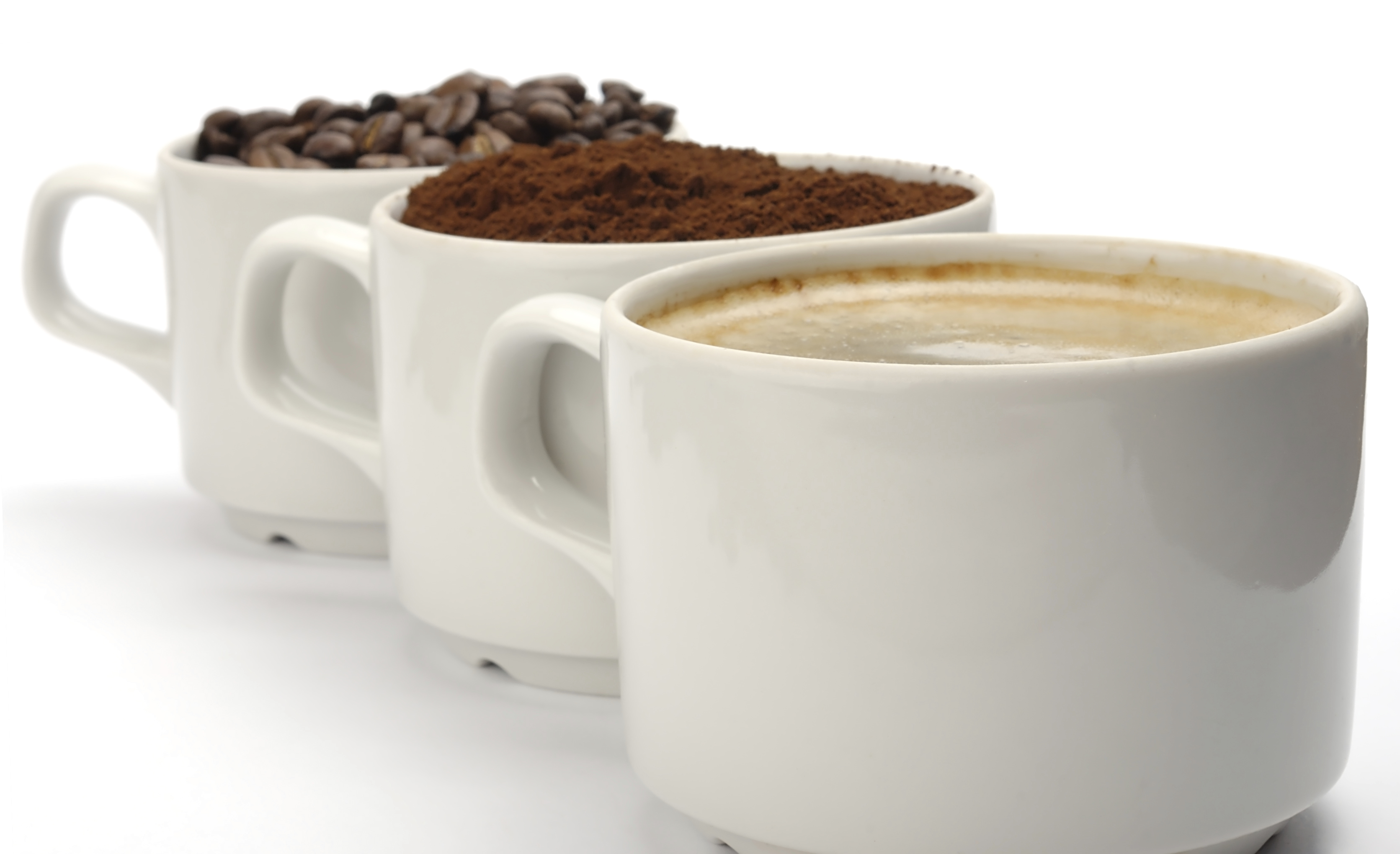 Coffee Creamer Plant